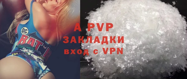 прущие грибы Бугульма