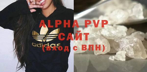 индика Бронницы