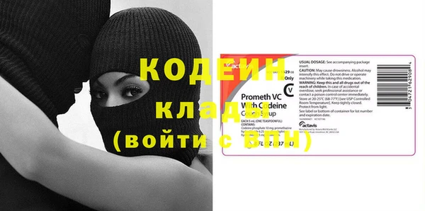 прущие грибы Бугульма