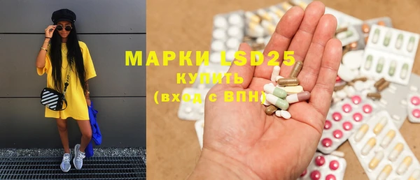 индика Бронницы