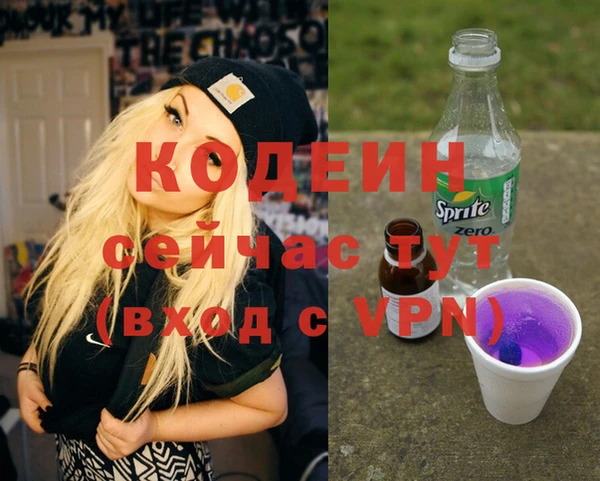 индика Бронницы