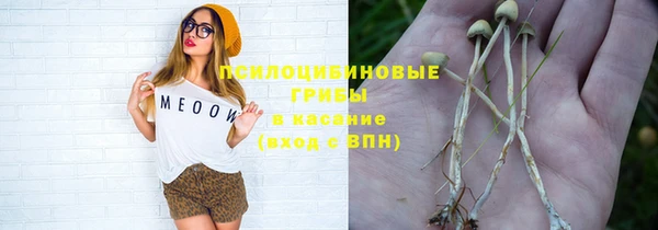индика Бронницы