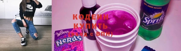 индика Бронницы