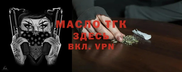 индика Бронницы