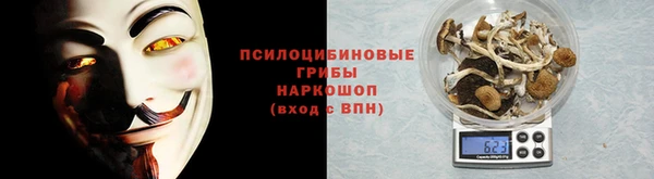 тгк Бородино