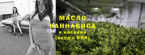 индика Бронницы