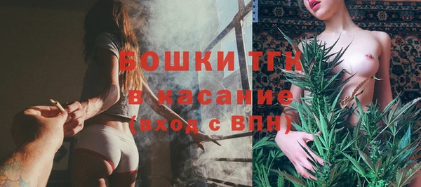 индика Бронницы