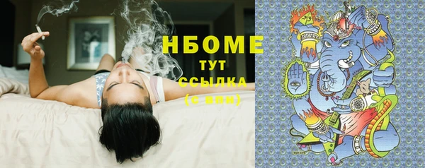 тгк Бородино
