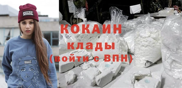 прущие грибы Бугульма