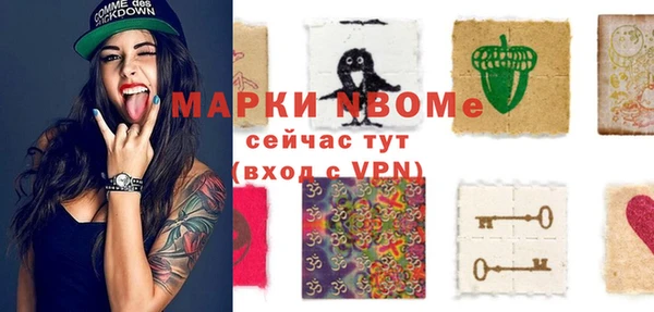 индика Бронницы